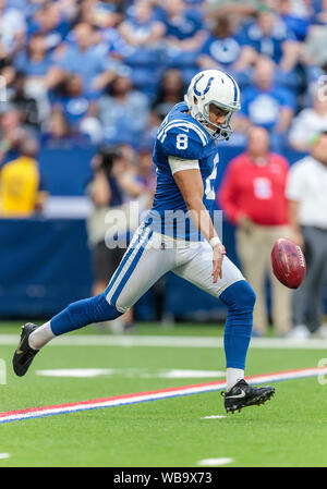 24 août 2019 - Indianapolis Colts punter Rigoberto Sanchez (8) au cours de la saison de football américain NFL action de jeu entre les ours de Chicago et les Indianapolis Colts au Lucas Oil Stadium à Indianapolis, Indiana. Chicago a battu Indianapolis poignéés 27 17/32 po. John Mersits/CSM. Banque D'Images