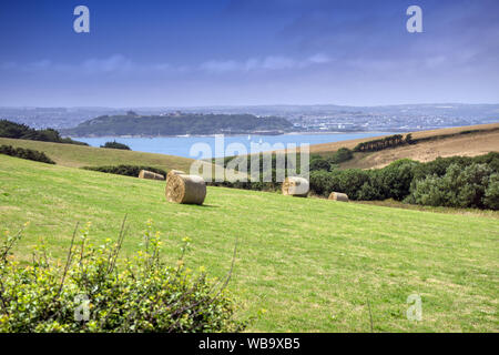 Bottes de foin dans le champ près de St Anthony Head, Roseland Peninsula, Cornwall, UK, Falmouth et le château de Pendennis à l'arrière-plan Banque D'Images