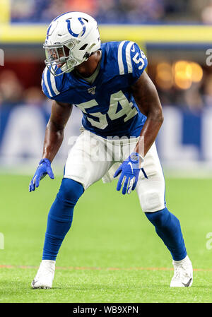 24 août 2019 - Indianapolis Colts linebacker Ahmad Thomas (54) au cours de la saison de football américain NFL action de jeu entre les ours de Chicago et les Indianapolis Colts au Lucas Oil Stadium à Indianapolis, Indiana. Chicago a battu Indianapolis poignéés 27 17/32 po. John Mersits/CSM. Banque D'Images