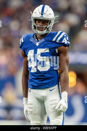 24 août 2019 - Indianapolis Colts secondeur E.J. Vitesse (45) au cours de la saison de football américain NFL action de jeu entre les ours de Chicago et les Indianapolis Colts au Lucas Oil Stadium à Indianapolis, Indiana. Chicago a battu Indianapolis poignéés 27 17/32 po. John Mersits/CSM. Banque D'Images