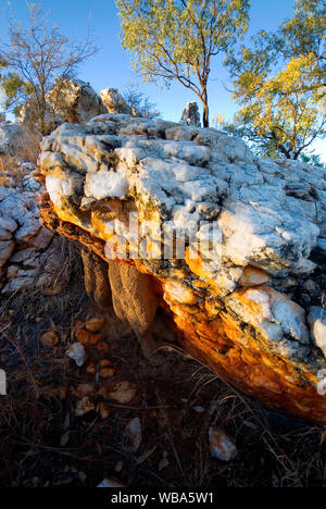 Coup de Quartz près de Cobbold Gorge. Robin des Bois, près de Georgetown, Gulf Savannah, Queensland, Australie Banque D'Images