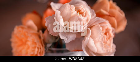 Bouquet de roses d'hiver automne thésaurisé avec gelée blanche Banque D'Images
