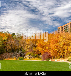 Cadre carré pelouse et arbres prolifiques avec motif de feuilles d'automne dans un parc Banque D'Images