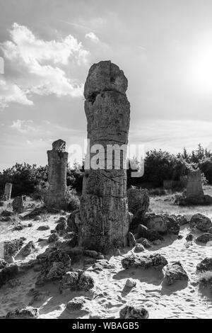 Pobiti Kamani (pierres plantées), également connu sous le nom de désert de pierre, est un phénomène rock désertique située sur la North West Province Varna de la Bulgarie. Banque D'Images