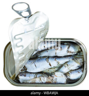 Peut ouvrir des conserves de sardines dans l'huile. Plus isolé sur fond blanc Banque D'Images