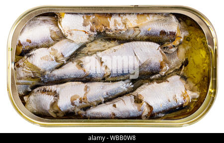 Vue rapprochée de l'ouvert peut de sardines fumées dans l'huile. Plus isolé sur fond blanc Banque D'Images