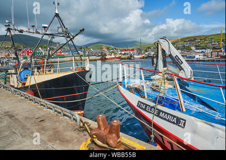 Dingle, comté de Kerry et des bateaux de pêche dans le port Banque D'Images