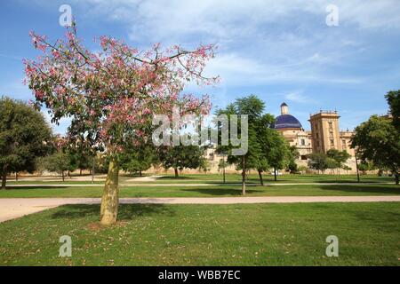 Valence, Espagne. Célèbres jardins du Turia, réalisés dans le parc ancien lit de la rivière. Arbre en fleurs de soie (Ceiba speciosa). Banque D'Images