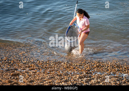 Hastings, East Sussex, UK. 26 août 2019. Sur une autre journée très chaude en Hastings une fille d'énormes boules de fulls net whitebait conduit par terre le maquereau en les pourchassant jusque dans les eaux peu profondes. Carolyn Clarke/Alamy Live News Banque D'Images