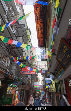 New Delhi, Inde - Le 26 janvier 2019 : drapeaux de prière Tibetains a paressé à Majnu Ka Tilla à New Delhi Banque D'Images