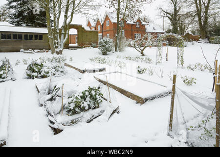 Grand potager recouverts de neige en hiver, England UK Banque D'Images