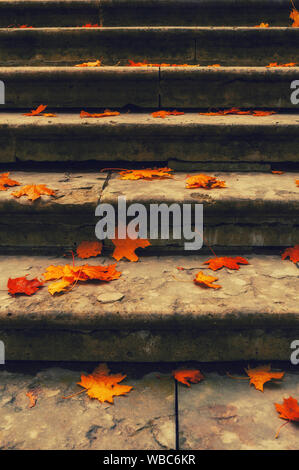 Les feuilles d'automne arrière-plan. Feuilles d'érable tombés sur l'ancien escalier de pierre texturés - ville d'automne, paysage vintage filtre appliqué Banque D'Images