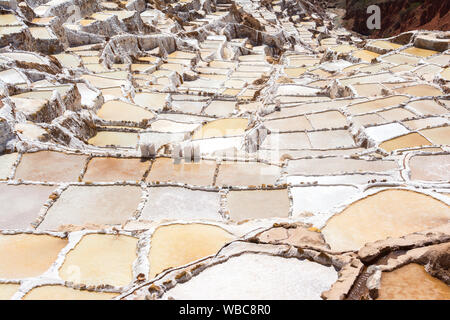 Terrasses de sel appelé "alineras de Maras' dans la région de Cusco, Pérou Banque D'Images