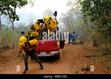 25 août 2019, la Bolivie, l'Quitunuquiña : pompiers volontaires arrivent dans une zone forestière de la municipalité d'Quitunuquiña à éteindre un incendie. De nombreux incendies de forêts sont actuellement en cours en Amérique du Sud. La région amazonienne du Brésil est le plus durement touché, mais il y a aussi des incendies dans les pays voisins de la Bolivie, le Pérou et le Paraguay. Photo : Adolfo Lino/dpa Banque D'Images