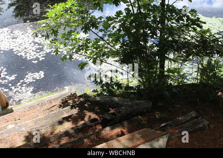 Escaliers allant dans McMullen Park Lake dans la région de Warrens Wisconsin Banque D'Images