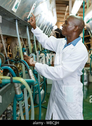 Ferme laitière en peignoir homme travaillant avec grange dans les machines à traire la vache automatique Banque D'Images