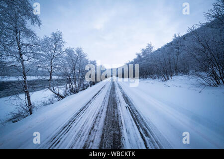 Route enneigée parmi les arbres recouverts de neige en Laponie Banque D'Images