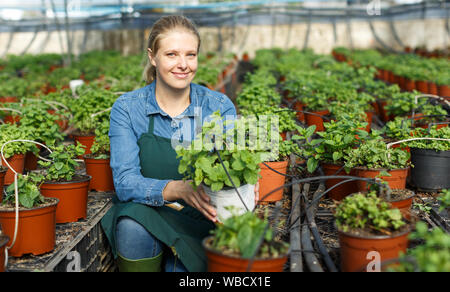 Agricultrice réussie posant sur des plantations de menthe en serre Banque D'Images