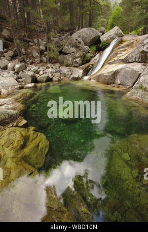 Piscine naturelle dans le Ruisseau de Manganello sur GR20, forêt de Venaco, France, Corse, GR20 Banque D'Images