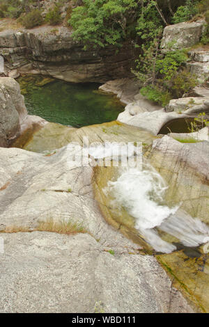 Piscine naturelle dans le Ruisseau de Manganello sur GR20, forêt de Venaco, France, Corse, GR20 Banque D'Images