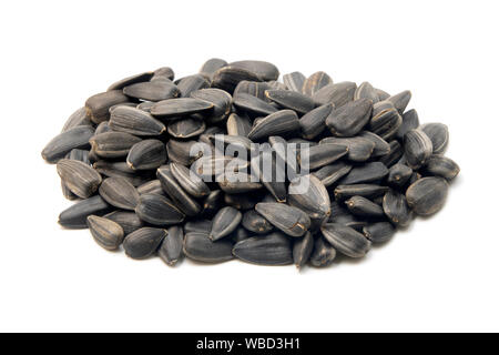 Les graines de tournesol noires rôti (Helianthus annuus) sur un fond blanc Banque D'Images
