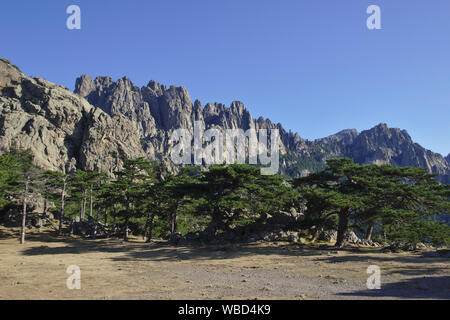 Vue depuis le Col de Bavella, France, Corse, GR20 Banque D'Images