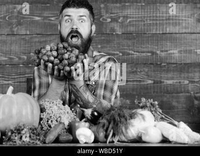 Récolte de chez nous avec l'agriculteur sur la table. Farmer fiers de récolter les légumes et les raisins. L'homme détient fond de bois barbu raisins. Légumes organic harvest. Concept de culture et de récolte. Banque D'Images