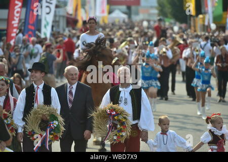 Ceske Budejovice, République tchèque. Août 24, 2019. Début de la fête des récoltes à Zeme zivitelka salon international de l'agriculture dans la région de Ceske Budejovice, République tchèque, le 24 août 2019. Photo/CTK Vaclav Pancer) Banque D'Images