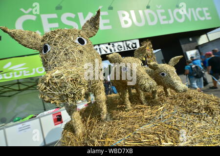 Ceske Budejovice, République tchèque. Août 24, 2019. Début de la fête des récoltes à Zeme zivitelka salon international de l'agriculture dans la région de Ceske Budejovice, République tchèque, le 24 août 2019. Photo/CTK Vaclav Pancer) Banque D'Images