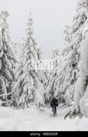 Man on mountain bike trail suit à travers la forêt dans la neige en hiver Banque D'Images