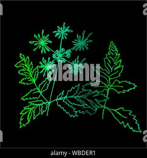 Couleur d'un usine fractale. Feuilles et fleurs Illustration de Vecteur