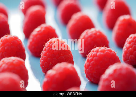 Close up of red raspsberry dans une assiette bleue Banque D'Images