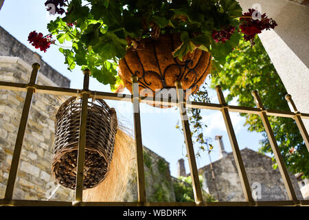 Pots de fleurs décoratifs d'extérieur. Vue du restaurant à Motovun, Croatie. Voyage, vacances, été, journée ensoleillée. Banque D'Images