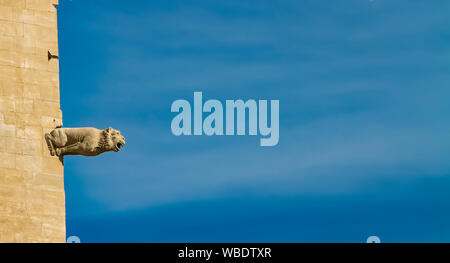 Détail de la trombe marine en forme de dragon au Palais des Papes à Avignon, France Banque D'Images