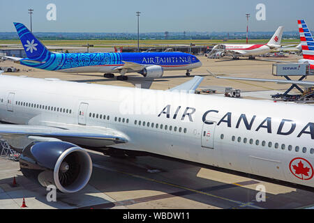 PARIS, FRANCE -28 JUIN 2019- Vue d'un Boeing 787 Dreamliner de la compagnie aérienne polynésienne Air Tahiti Nui (TN) à l'aéroport Roissy Charles de Gaulle Banque D'Images