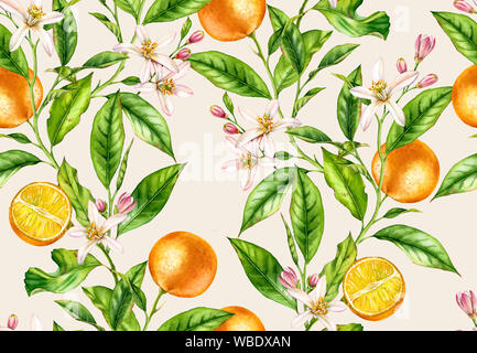 Branches des fruits orange. Modèle transparent avec des fleurs floral botanique réaliste illustration sur fond beige clair peint main Banque D'Images