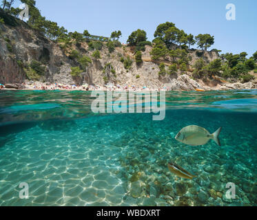 Espagne Beach sur la côte rocheuse avec des poissons sous l'eau près de Calella de Palafrugell, Costa Brava, Catalogne, mer Méditerranée Banque D'Images