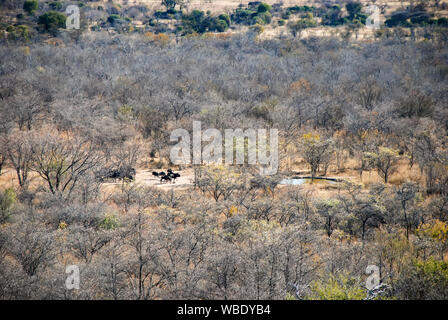 Le paysage de la province du Limpopo, dans le Waterberg, Afrique du Sud Banque D'Images