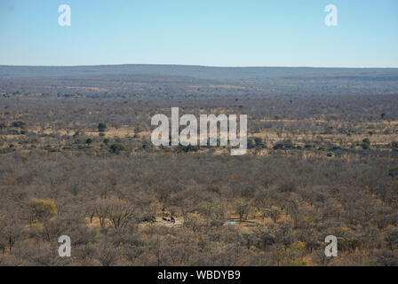 Le paysage de la province du Limpopo, dans le Waterberg, Afrique du Sud Banque D'Images