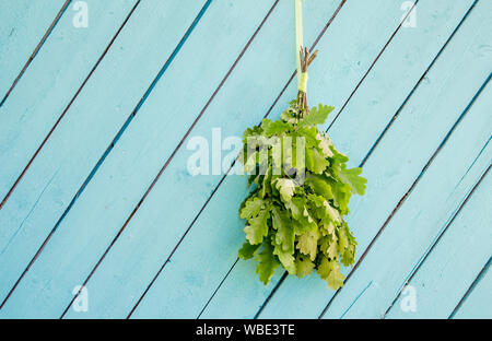 Oak tree sauna balayette ( aussi connu comme vasta, vihta ou venik) et de séchage suspendu au mur, blue background, copiez l'espace. Fouet est utilisé dans Banque D'Images