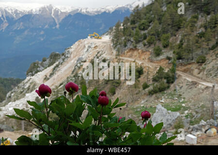 Carrières de marbre ouvert indifféremment donner d'importants dommages à la nature et les forêts Banque D'Images