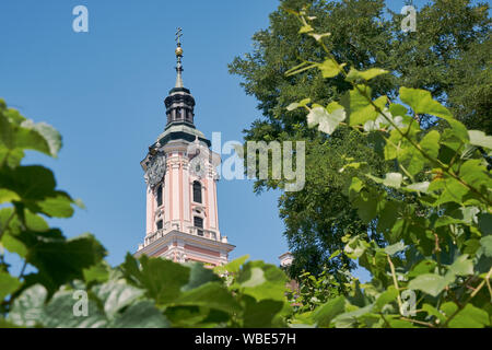 Haut de la basilique ou église de pèlerinage au lac de Constance à Birnau, Allemagne, entouré naturellement d'arbres et de feuilles Banque D'Images