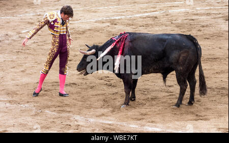 Ambato, ÉQUATEUR - Dec 15, 2015 - Torero stares down bull au cours de Carnaval Banque D'Images