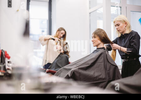 Belle femme le peignage des cheveux mouillés. Le brossage de cheveux femme styliste en coiffure. Coiffure au service client. Jeune professionnel Coiffure Travailler avec Comb Banque D'Images