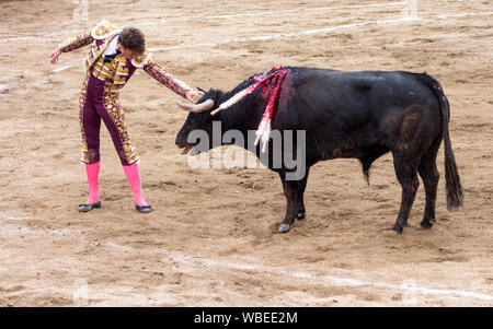 Ambato, ÉQUATEUR - Dec 15, 2015 - Torero stares down bull au cours de Carnaval Banque D'Images