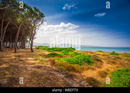 Budoni Beach sur l'île de Sardaigne, Sardaigne, Italie, Europe. Banque D'Images