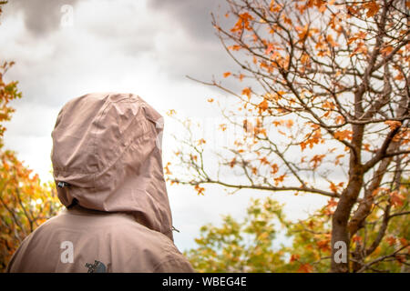 Randonnée introspectif à l'automne Banque D'Images