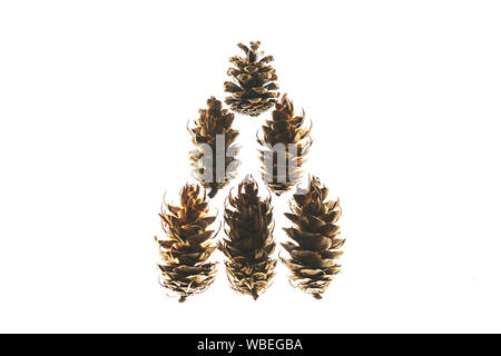 Modèle naturel d'hiver faites de cônes en forme d'arbre de Noël sur fond blanc, isolé. Banque D'Images