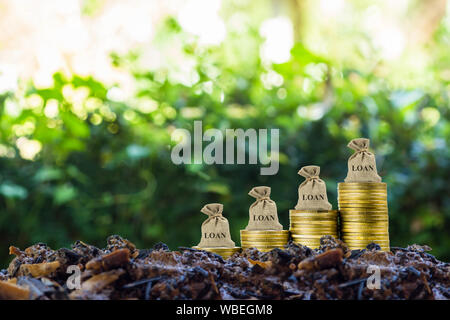 Concept de prêt financier. Un sac d'argent sur la pile de pièces sur le sol avec la nature. Banque D'Images