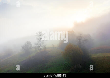 Un épais brouillard en automne campagne. des arbres sur les collines en région rurale. soleil briser phénomène mystérieux. Banque D'Images